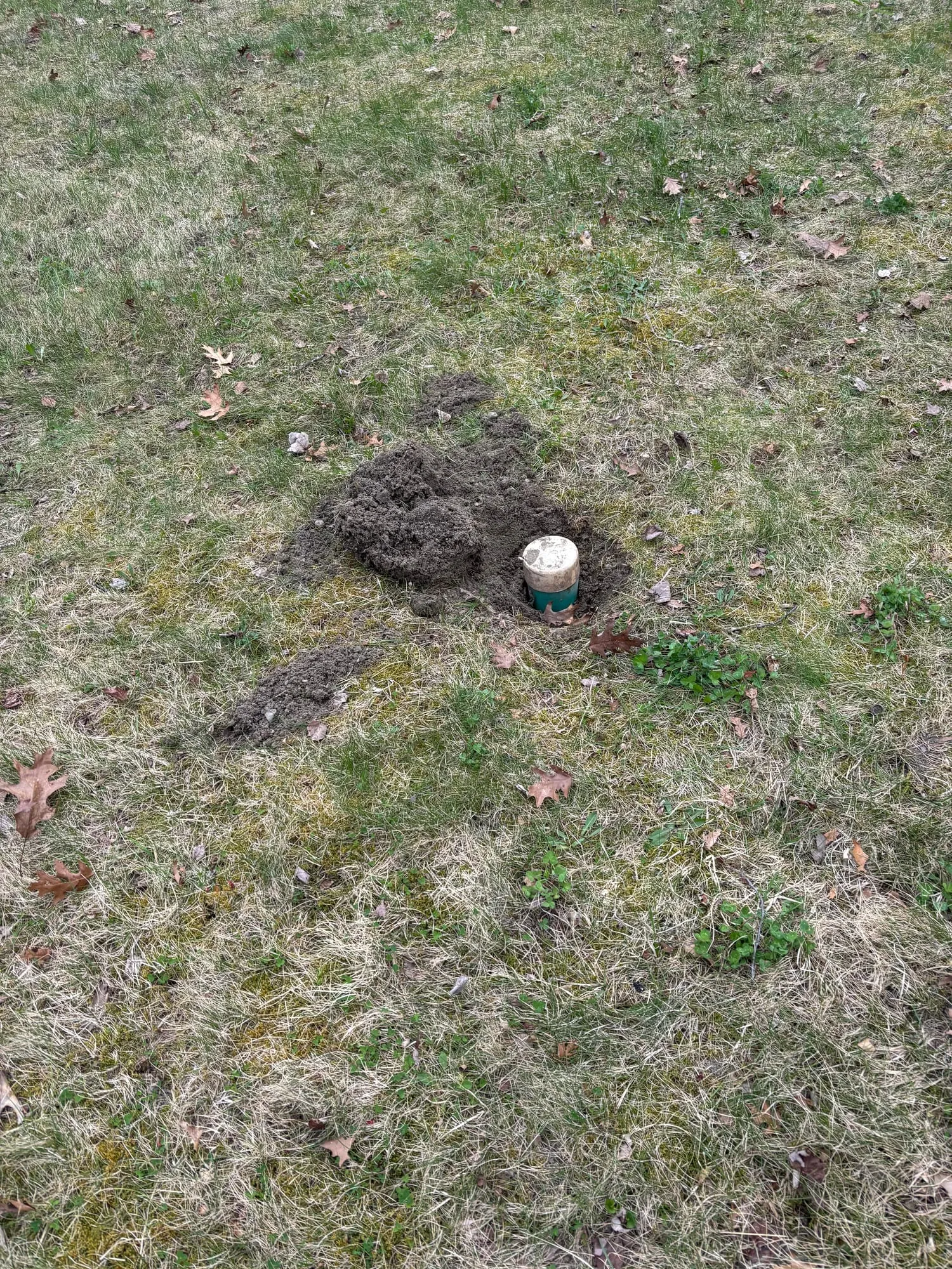 A cleanout riser located and uncovered in a lawn